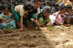 IMG_20180816_112130_opt