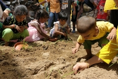 IMG_20180816_112139_opt