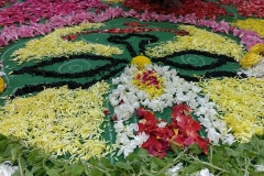 IMG_20180824_113310_opt